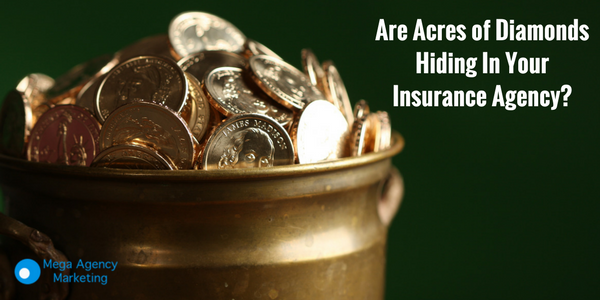 Are Acres of Diamonds Hiding In Your Insurance Agency?